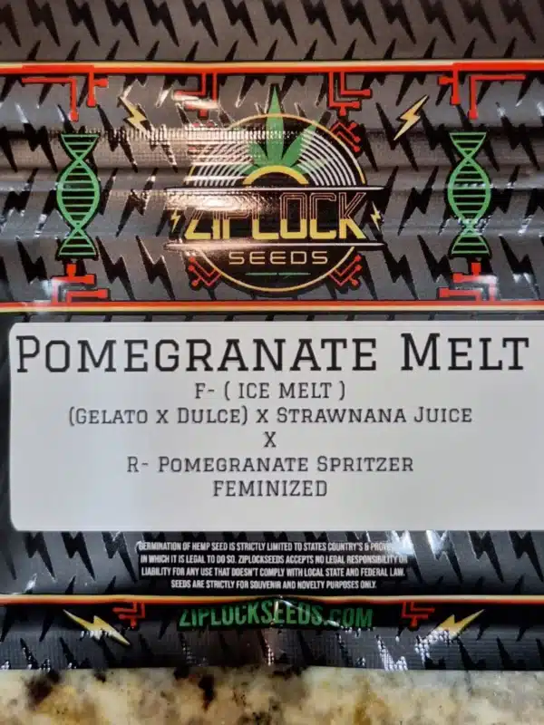 Pomegranate Melt – Ziplock Seeds - Imagen 2