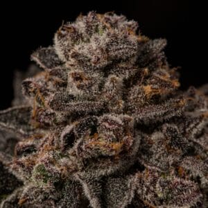 Permanent Marker S1 - Lit Farms