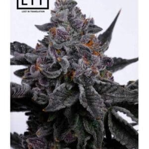 Ice Cream Zoap - Lit Farms