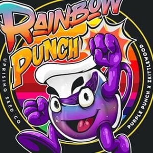 Rainbow Punch - Uprising Seed Co