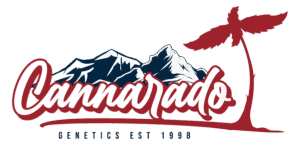 Cannarado Genetics