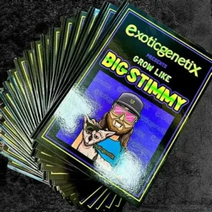 Guía de Grow Like Big Stimmy (PDF)