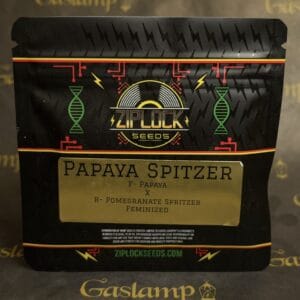 Papaya Spitzer – Ziplock Seeds