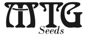 MTG SEEDS