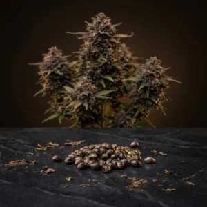 Semillas automáticas