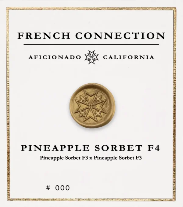 Pineapple Sorbet F4 - Aficionado Humboldt - Imagen 2