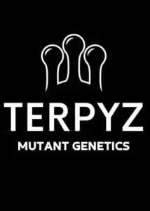 Terpyz