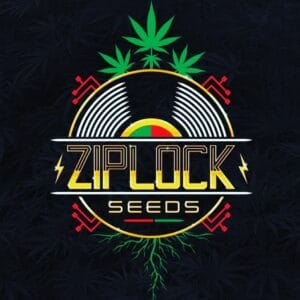 Ziplock Seed - Honeydew