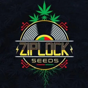 13th Ward – Ziplock Seeds
