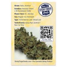 Haiku Jackfruit - Sticky Finger Seeds