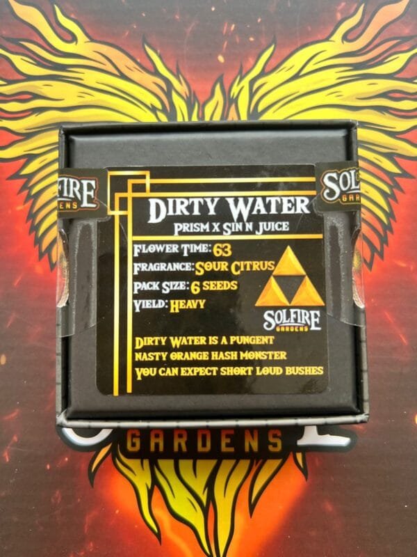 Dirty Water – Solfire Gardens - Imagen 2