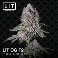 LIT OG F2 - Lit Farms
