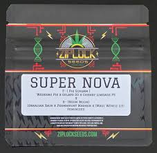 Ziplock Seed - Supernova