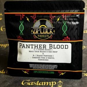 Panther Blood – Ziplock Seeds Ziplock Seeds GROUI