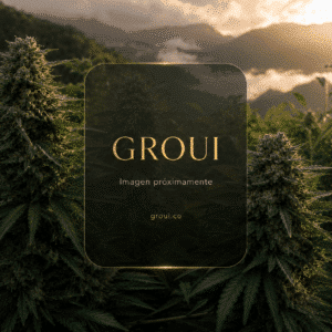 Imagen próximamente - GROUI
