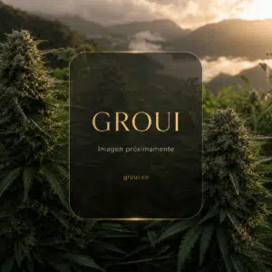 Imagen próximamente - GROUI